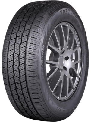 Шина Fortune FSR305 285/45 R22 114H